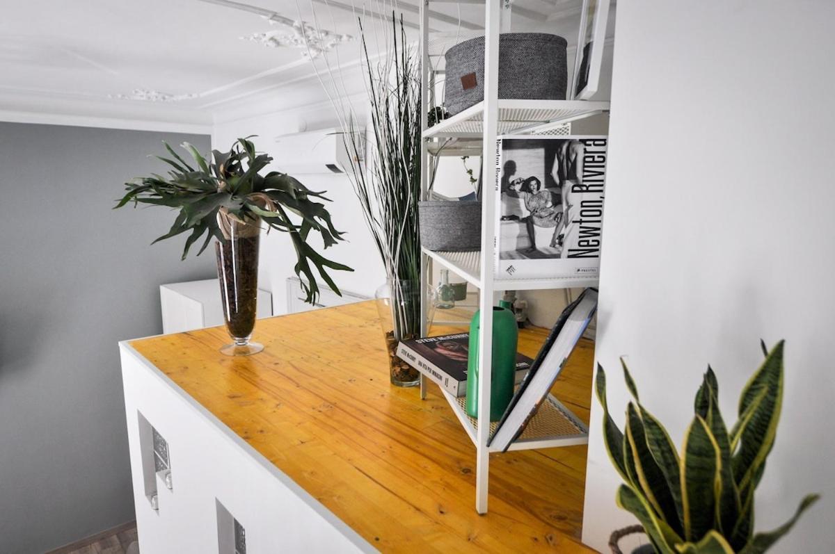 Deluxe Artistic Loft Apartment Turin Exterior photo